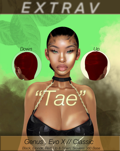 [XTRV] - Tae