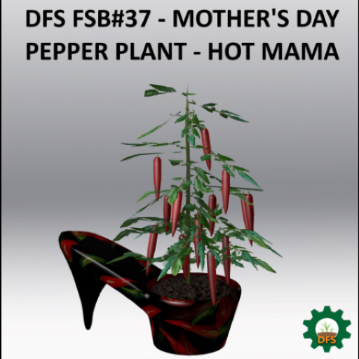 DFS Mother's Day Hot Mama Pepper Plant (FSB#37)