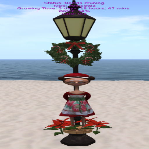 DFS Flowers - Poinsettia (FSB#8) A 1