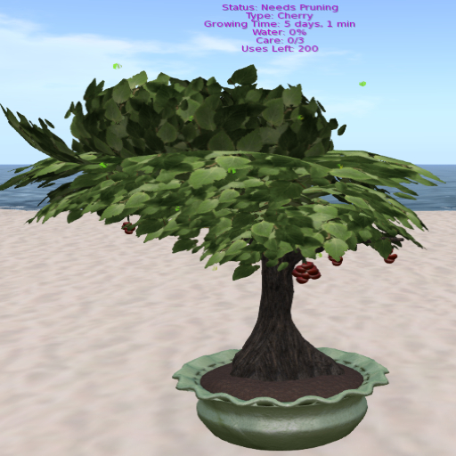 DFS Cherry Tree (FSB#41)