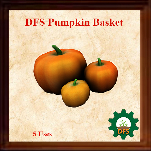 DFS Pumpkin ( Actual Item )