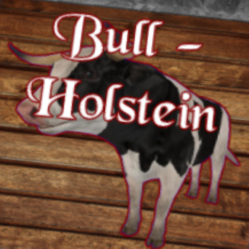 [1] DFS Bull - Holstein