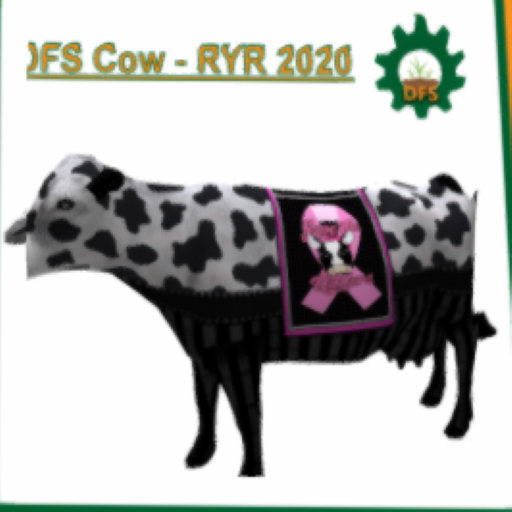 DFS Cow - RYR 2020