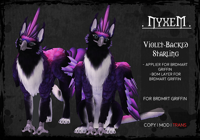 . NyxeM . Violet-Backed Starling 