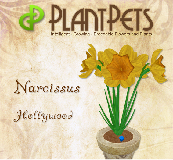 PlantPet Seed [Narcissus *Hollywood*]