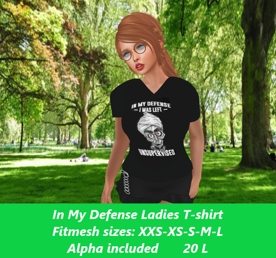 In my defense-Ladies V-neck T-shirt