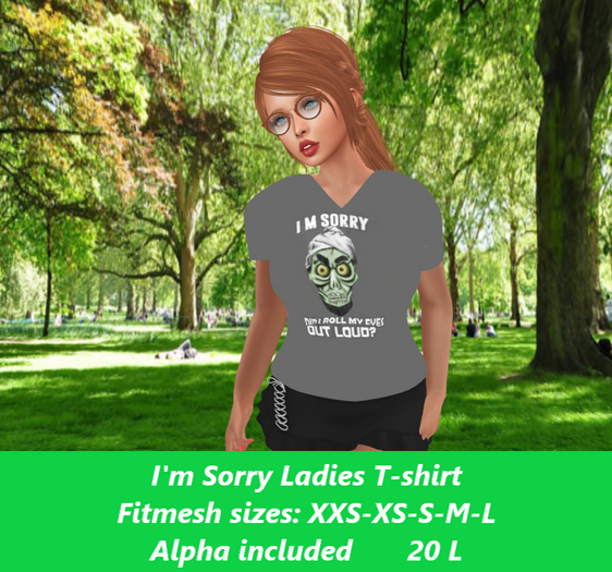 I'm Sorry-Ladies V-neck T-shirt