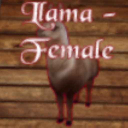 DFS Llama - Female 2