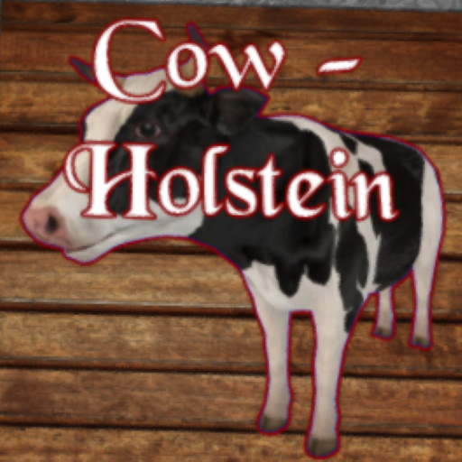[1] DFS Cow - Holstein