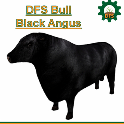[1] DFS Bull - Black Angus