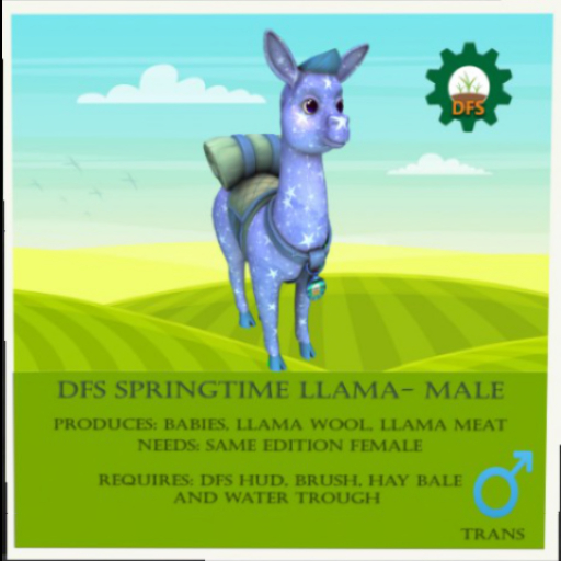 [1] DFS Llama - Springtime 2021 Male