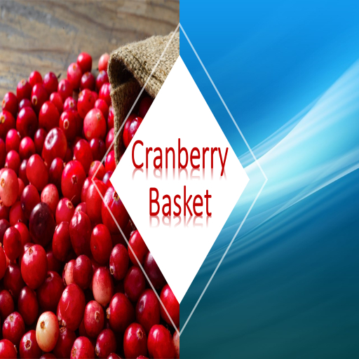 [100] DFS Cranberry Basket