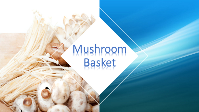 [5] DFS Mushroom Basket