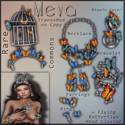 Meva Butterfly Ring 1  Box