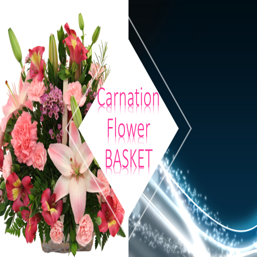 [5] DFS Flowers - Carnation Basket