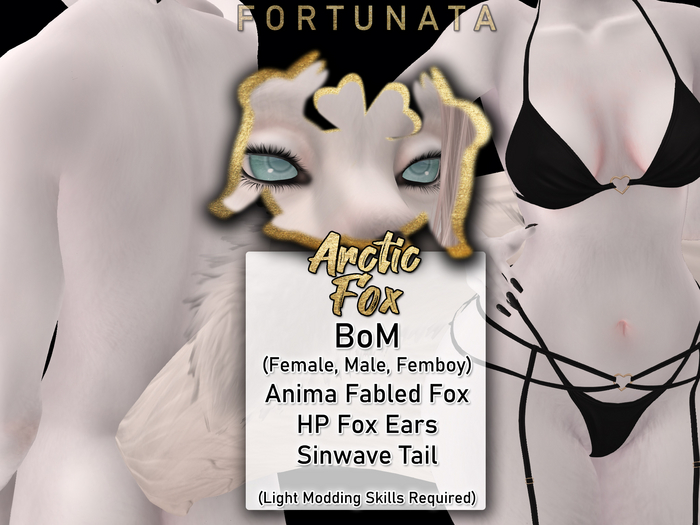 .::F::. Arctic Fox (Add to Unpack!)