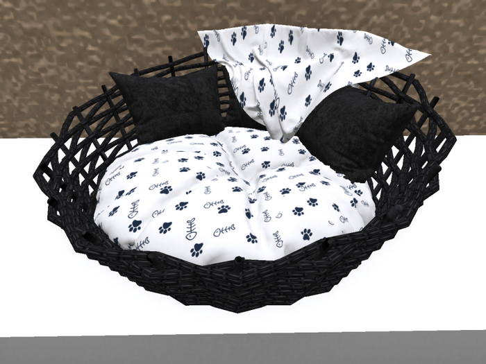 black and white 2 cat