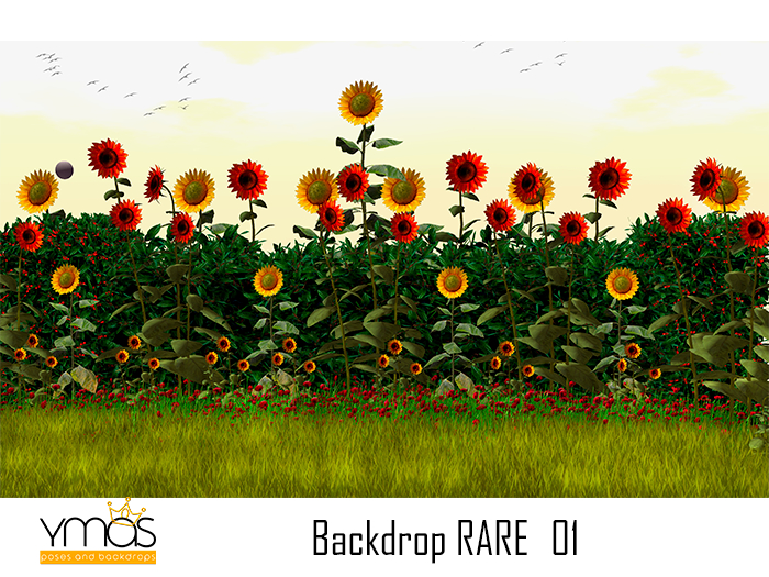 {Ymas Poses}BACKDROP GACHA  01 RARE