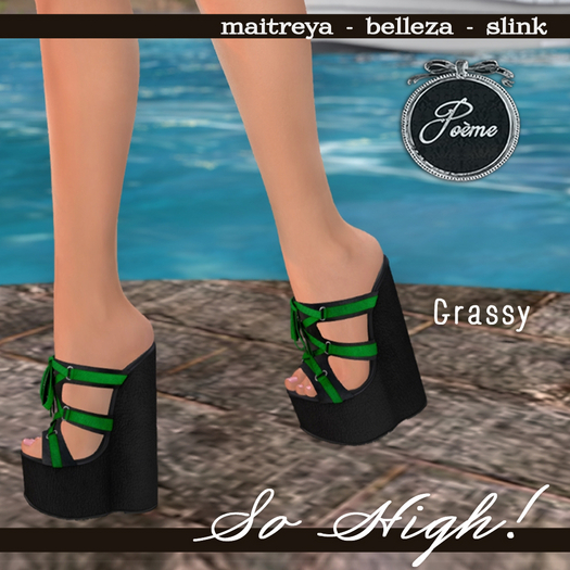 {Poeme} So High Grassy Platforms