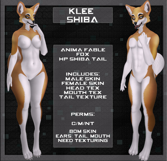 MonCafe - Klee Shiba - (Anima Fox)