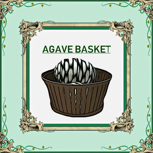 DFS Agave Pina Basket 4