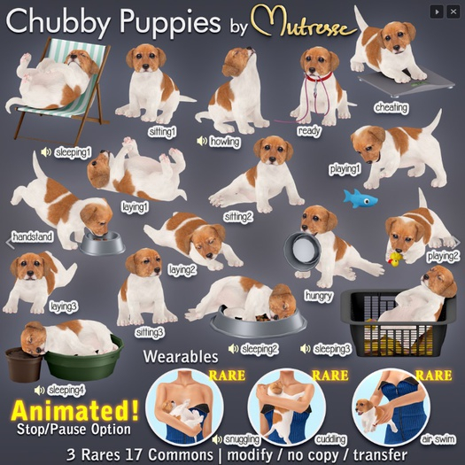 18-Mutresse-Snuggling-Chubby Puppies RARE