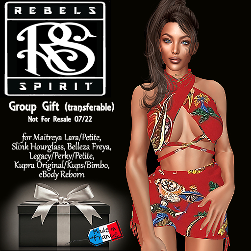 RebelsSpirit Group Gift 07/22 - COPY