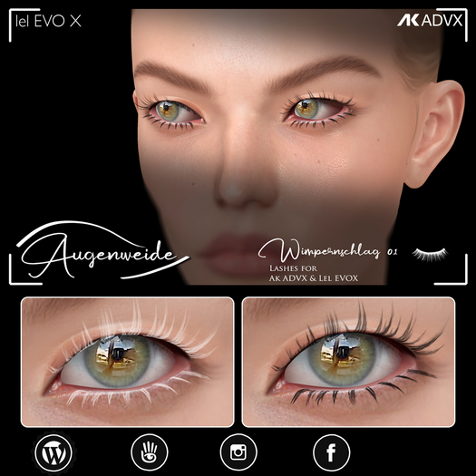 . AW . Wimpernschlag 01 - EVOX&ADVX lashes boxed - add