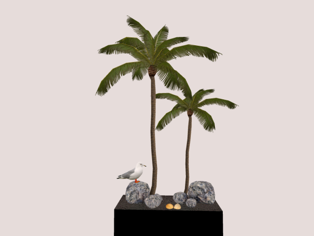 Palmtrees with stones