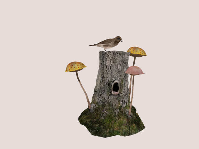 Mushrooms & Bird