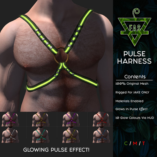 _-FAS-_  PULSE HARNESS [WEAR TO UNPACK]