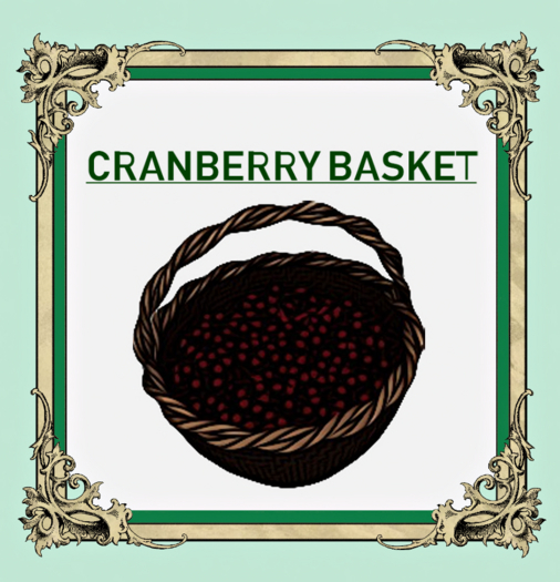 DFS Cranberry Basket 