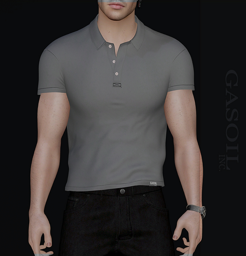 [GL - inc.] - ROBERT POLO GREY