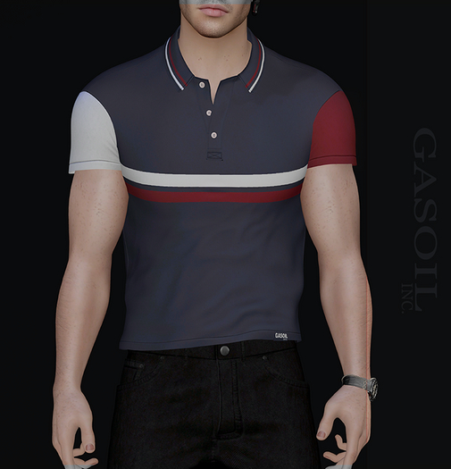 [GL - inc.] - ROBERT POLO BLUE-RED