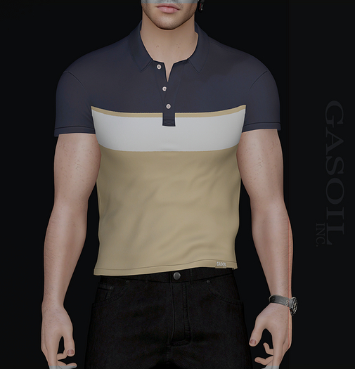 [GL - inc.] - ROBERT POLO BLUE-YELLOW