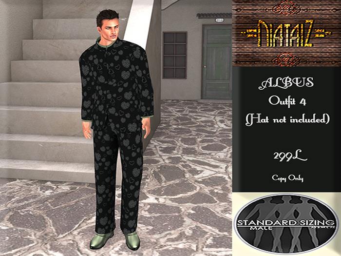 ALBUS Outfit 4