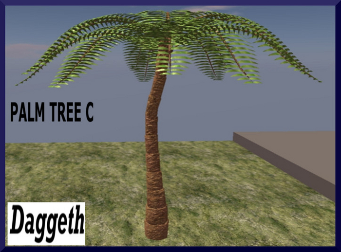 Palm Tree C  unpacker