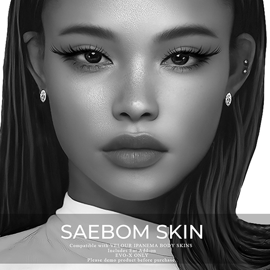 SAEBOM lelEvox - DEMO