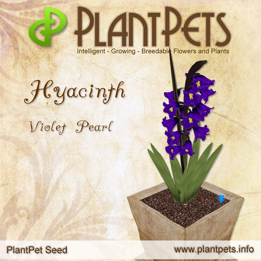 PlantPet Seed [Hyacinth *Violet Pearl*]