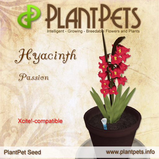 PlantPet Seed [Hyacinth *Passion*]