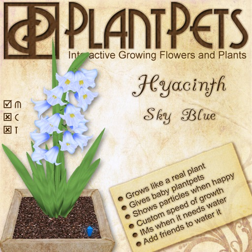 PlantPet Seed [Hyacinth *Sky Blue*]