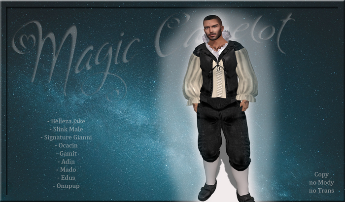 *MagicCamelot*  Poet