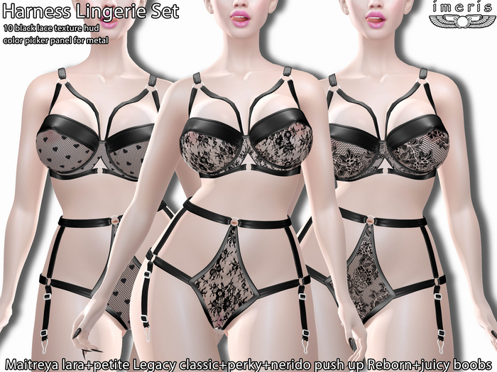 DEMO HARNESS LINGERIE SET -3