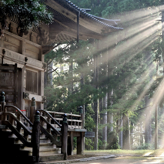 Light Shine Down