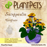 PlantPet Seed [Saintpaulia *Confusio*] VINTAGE Common