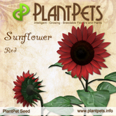 PlantPet Seed [Sunflower *Red*] - common - free breeding - no extra costs 