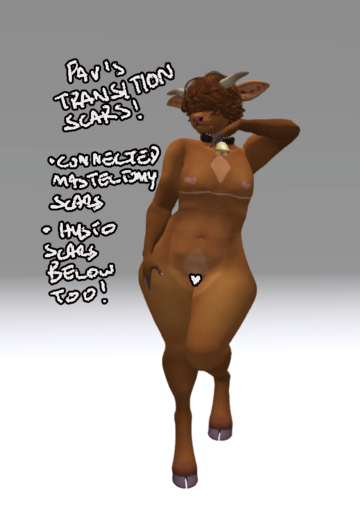 .:PP:. Pav's transition scars