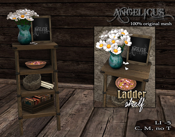 ::ANGELCIUS::  Ladder shelf