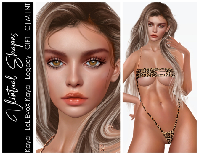 VIRTUAL SHAPES - Kaya Shape - GIFT