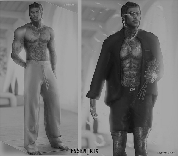 -ESSENTRIX-. Satin Boxers DEMO